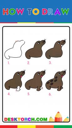 How to drawing seal